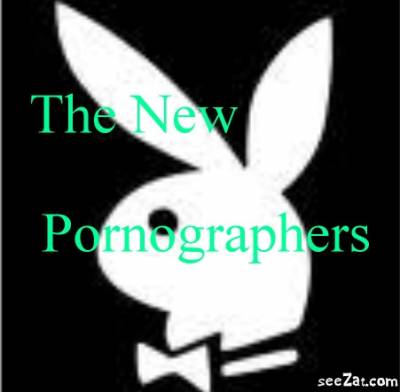 logo The New Pornographers